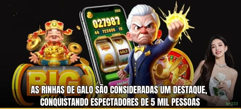 Conta br333 sincronizada site e app